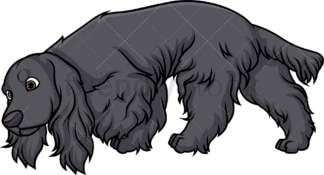 Black english cocker spaniel sniffing. PNG - JPG and vector EPS (infinitely scalable).