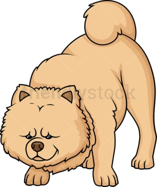 Cinnamon chow chow sniffing. PNG - JPG and vector EPS (infinitely scalable).