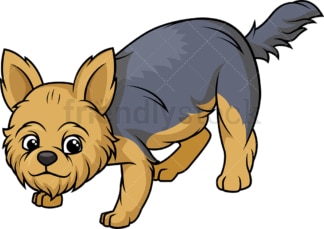 Yorkshire terrier sniffing. PNG - JPG and vector EPS (infinitely scalable).