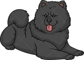 Black chow chow lying down. PNG - JPG and vector EPS (infinitely scalable).
