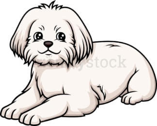 Maltese lying down. PNG - JPG and vector EPS (infinitely scalable).