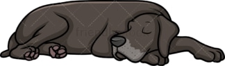 Great dane sleeping. PNG - JPG and vector EPS (infinitely scalable).