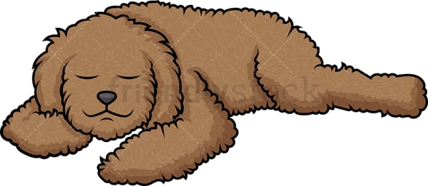 Labradoodle sleeping. PNG - JPG and vector EPS (infinitely scalable).