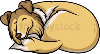 Sable white collie sleeping. PNG - JPG and vector EPS (infinitely scalable).