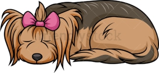 Sleeping female yorkie. PNG - JPG and vector EPS (infinitely scalable).
