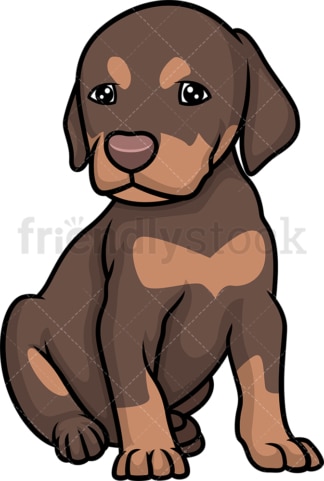 Cute doberman puppy. PNG - JPG and vector EPS (infinitely scalable).