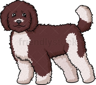 Cheerful labradoodle. PNG - JPG and vector EPS (infinitely scalable).
