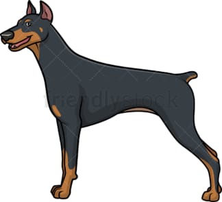 Fearless doberman. PNG - JPG and vector EPS (infinitely scalable).