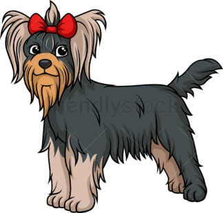 Gorgeous yorkshire terrier. PNG - JPG and vector EPS (infinitely scalable).