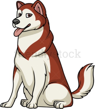 Obedient alaskan malamute sitting. PNG - JPG and vector EPS (infinitely scalable).