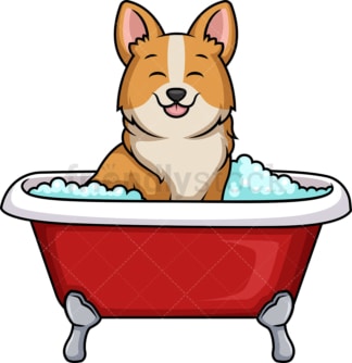 Corgi dog having a bath. PNG - JPG and vector EPS (infinitely scalable). Image isolated on transparent background.