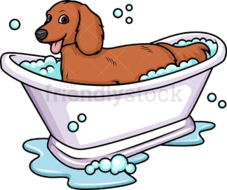 Dachshund having a bath. PNG - JPG and vector EPS (infinitely scalable). Image isolated on transparent background.