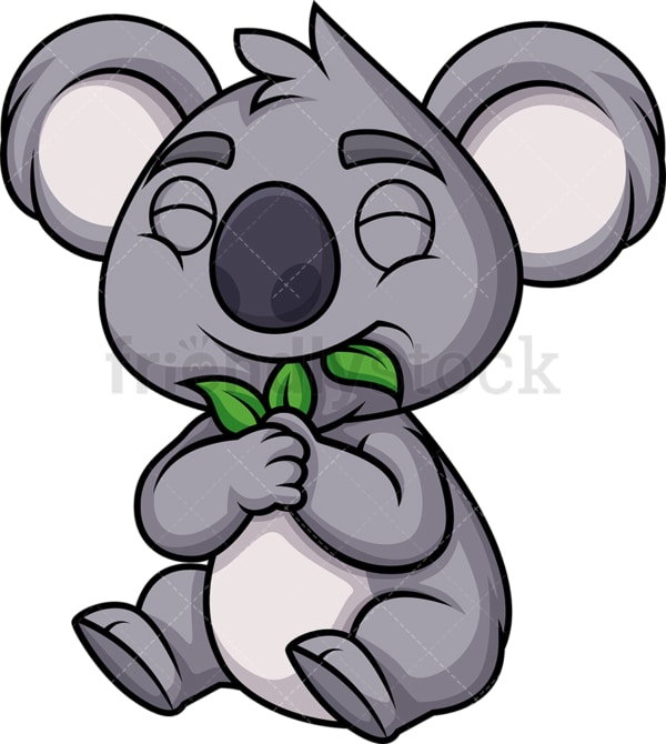 Koala bear eating leaves. PNG - JPG and vector EPS (infinitely scalable). Image isolated on transparent background.