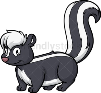 Wild skunk. PNG - JPG and vector EPS (infinitely scalable).