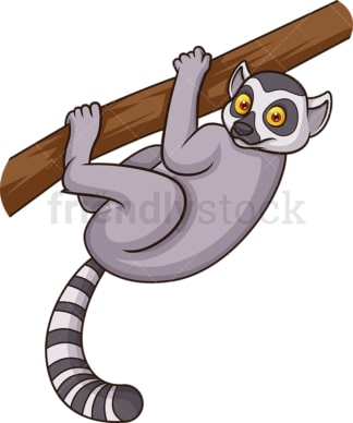 Wild lemur. PNG - JPG and vector EPS (infinitely scalable).