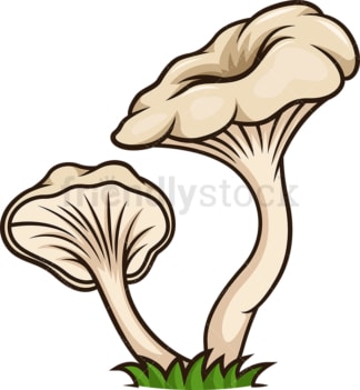 Wild mushrooms. PNG - JPG and vector EPS file formats (infinitely scalable). Image isolated on transparent background.