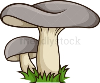 Gray mushroom. PNG - JPG and vector EPS file formats (infinitely scalable). Image isolated on transparent background.