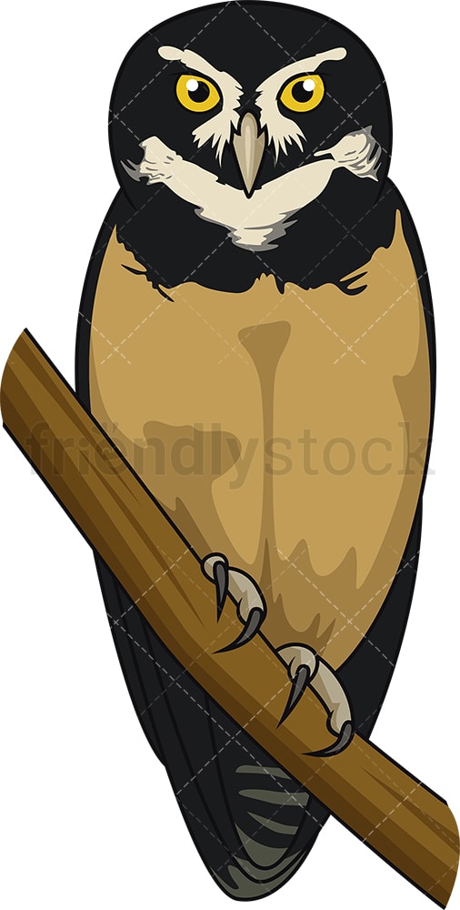 Spectacled owl. PNG - JPG and vector EPS file formats (infinitely scalable). Image isolated on transparent background.