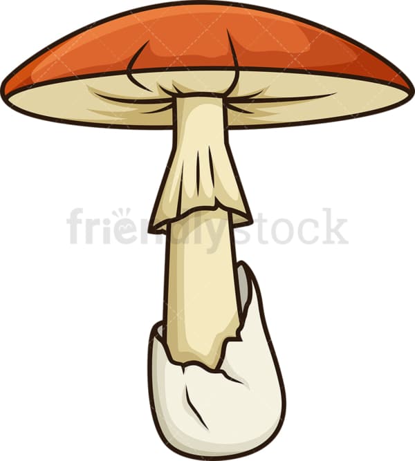 Forest Mushroom Cartoon Vector Clipart FriendlyStock