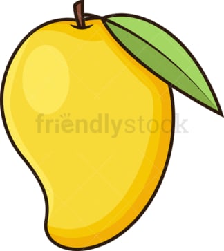 Mango fruit. PNG - JPG and vector EPS file formats (infinitely scalable). Image isolated on transparent background.