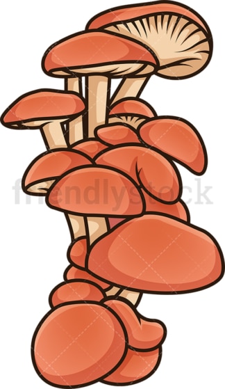 Clustered mushrooms. PNG - JPG and vector EPS file formats (infinitely scalable). Image isolated on transparent background.