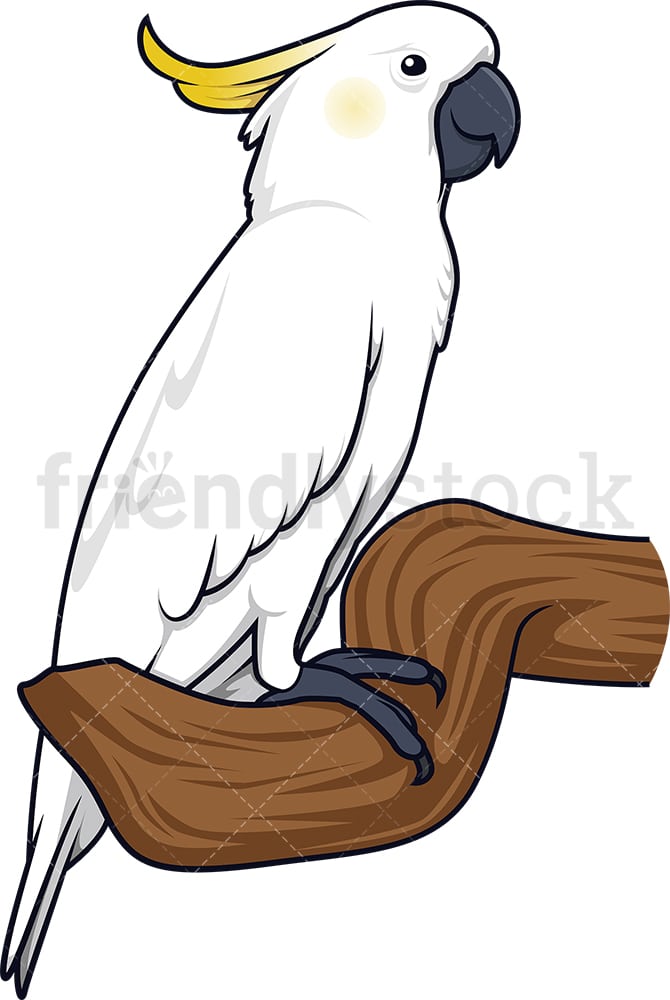 Cockatoo Parrot Cartoon Clipart Vector - FriendlyStock