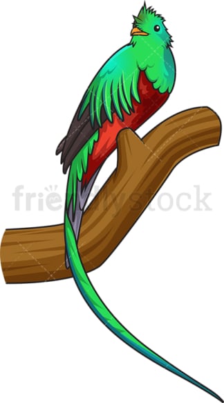 Resplendent quetzal. PNG - JPG and vector EPS (infinitely scalable).