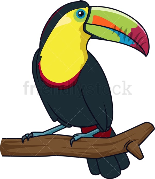 Kell-Billed toucan. PNG - JPG and vector EPS (infinitely scalable).
