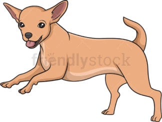 Chihuahua running. PNG - JPG and vector EPS (infinitely scalable).