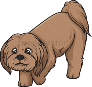 Brown shih tzu sniffing. PNG - JPG and vector EPS (infinitely scalable).
