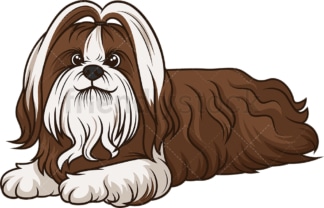 Shih tzu lying down. PNG - JPG and vector EPS (infinitely scalable).
