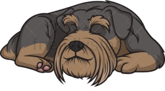 Schnauzer sleeping. PNG - JPG and vector EPS (infinitely scalable).