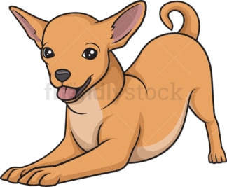 Playful gold chihuahua. PNG - JPG and vector EPS (infinitely scalable).