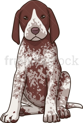 Cute pointer puppy. PNG - JPG and vector EPS (infinitely scalable).