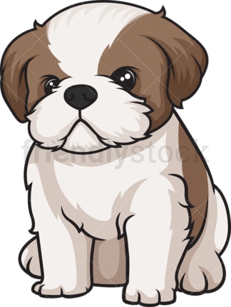 Cute shih tzu puppy. PNG - JPG and vector EPS (infinitely scalable).