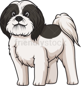 Black parti shih tzu. PNG - JPG and vector EPS (infinitely scalable).