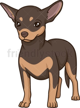 Proud chihuahua. PNG - JPG and vector EPS (infinitely scalable).