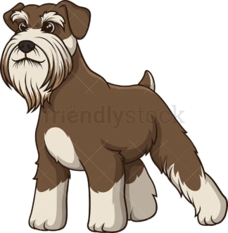 Proud standard schnauzer. PNG - JPG and vector EPS (infinitely scalable).