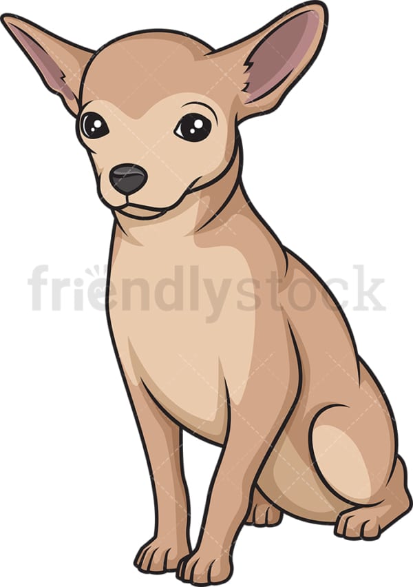 Obedient chihuahua sitting. PNG - JPG and vector EPS (infinitely scalable).
