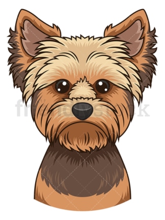 Yorkie face. PNG - JPG and vector EPS (infinitely scalable).