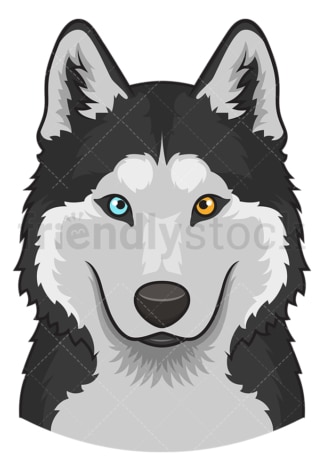 Siberian husky face. PNG - JPG and vector EPS (infinitely scalable).