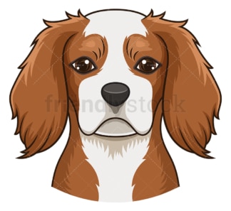 Cavalier king charles spaniel face. PNG - JPG and vector EPS (infinitely scalable).