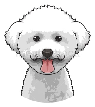 Bichon frise face. PNG - JPG and vector EPS (infinitely scalable).