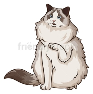 Playful ragdoll cat. PNG - JPG and vector EPS (infinitely scalable).