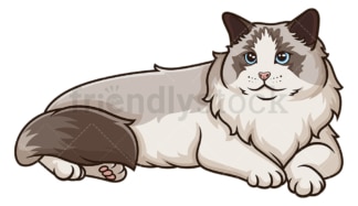 Ragdoll cat lying down. PNG - JPG and vector EPS (infinitely scalable).