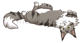 Maine coon cat lying on its back. PNG - JPG and vector EPS (infinitely scalable).