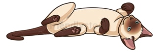 Siamese cat lying on its back. PNG - JPG and vector EPS (infinitely scalable).