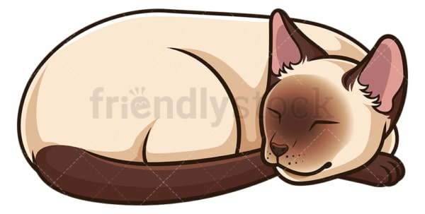 Siamese cat sleeping. PNG - JPG and vector EPS (infinitely scalable).