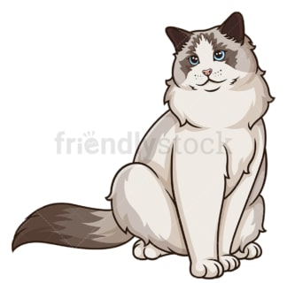 Ragdoll cat sitting. PNG - JPG and vector EPS (infinitely scalable).