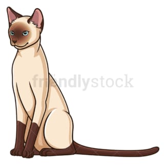 Siamese cat sitting. PNG - JPG and vector EPS (infinitely scalable).